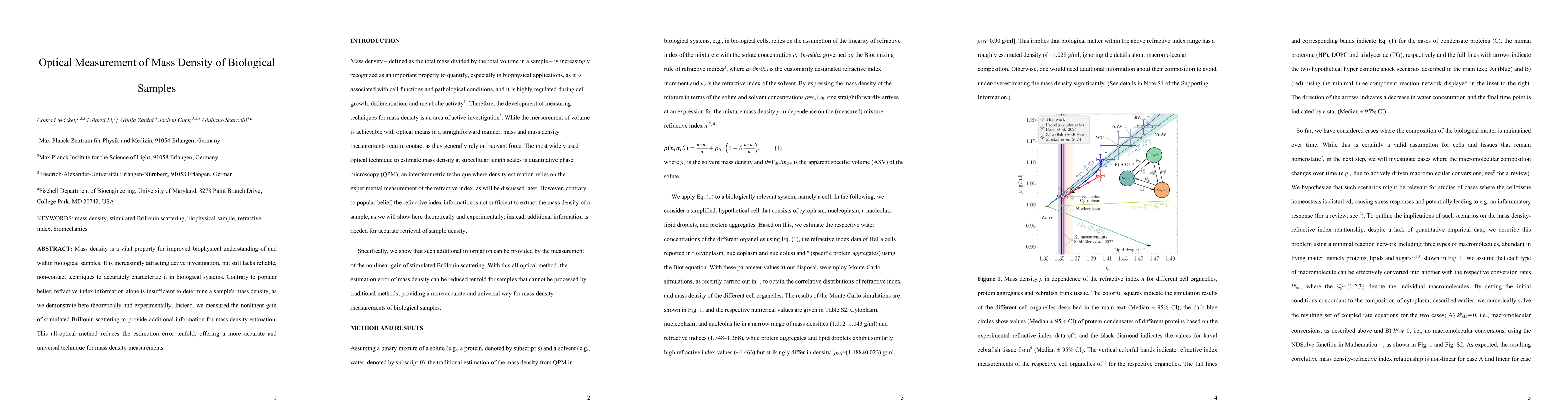Thumbnail for Optical Measurement of Mass Density of Biological Samples