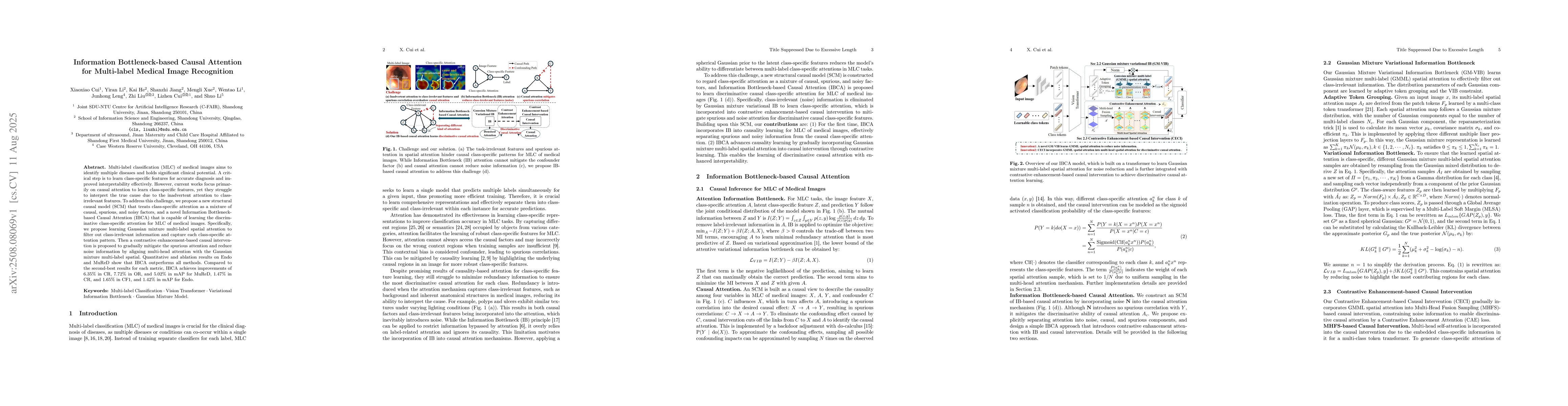 Thumbnail for Information Bottleneck-based Causal Attention for Multi-label Medical
  Image Recognition