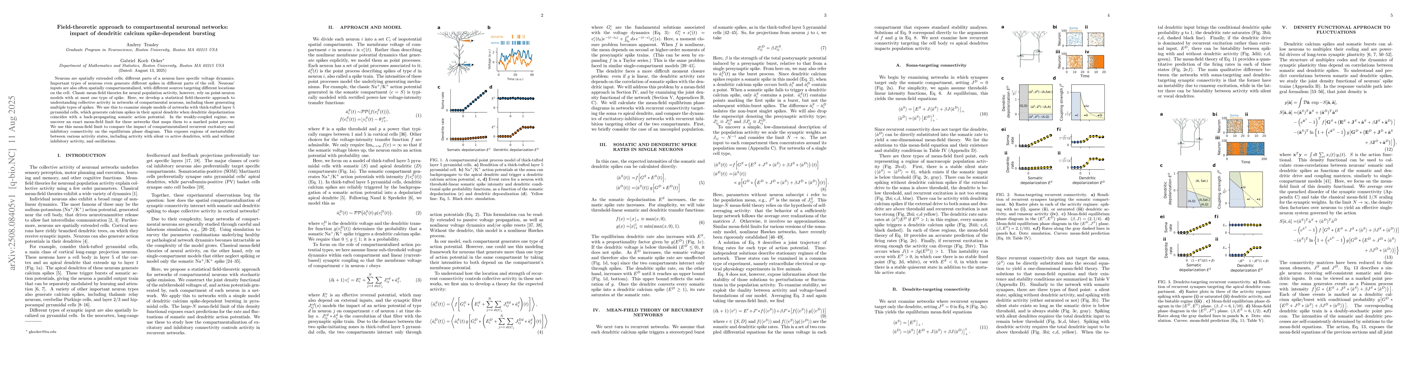Thumbnail for Field-theoretic approach to compartmental neuronal networks: impact of
  dendritic calcium spike-dependent bursting