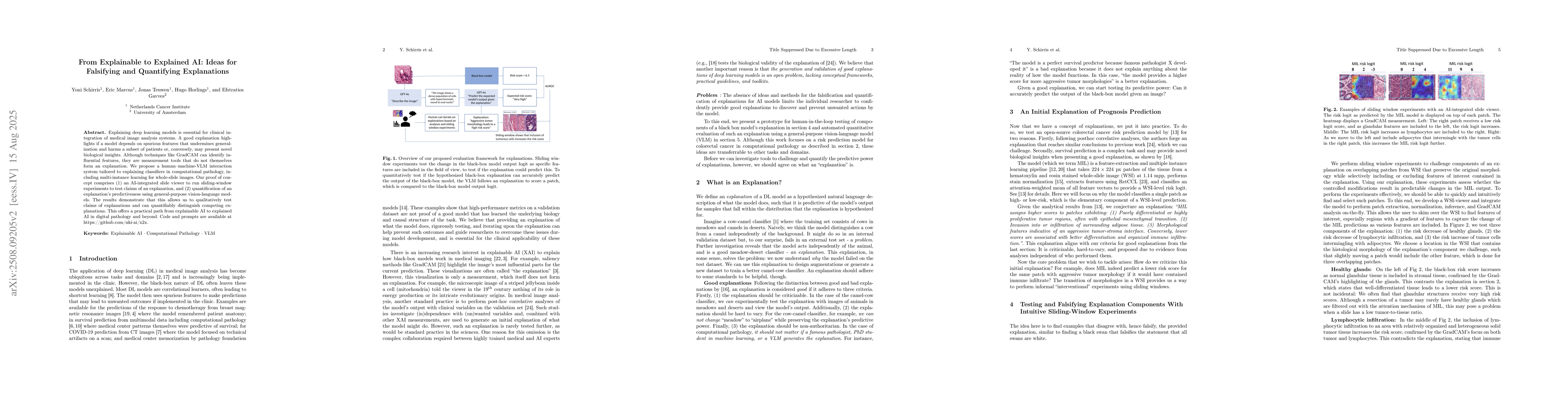 Thumbnail for From Explainable to Explained AI: Ideas for Falsifying and Quantifying
  Explanations