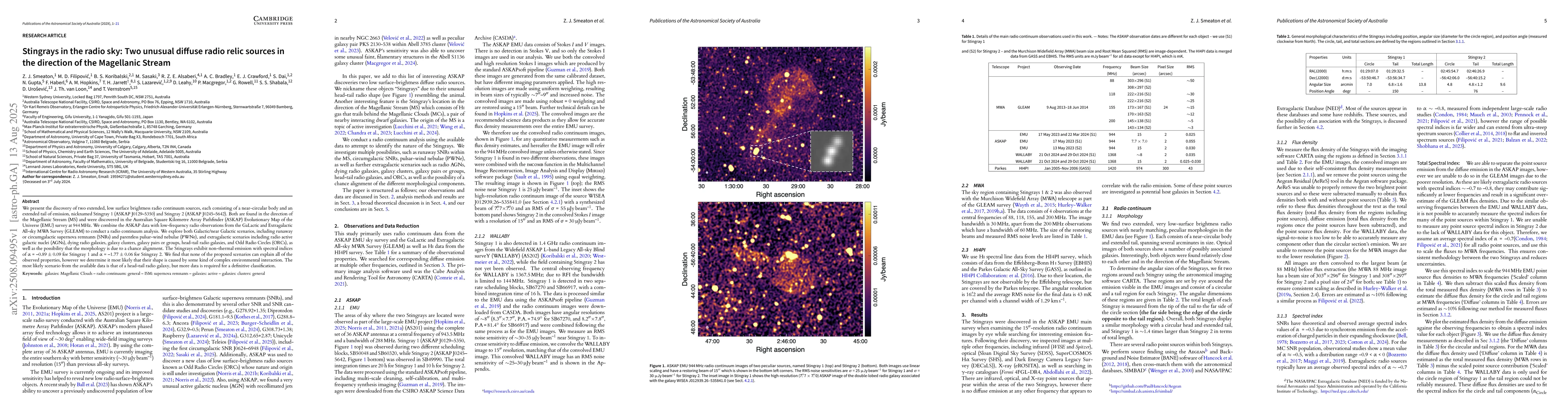 Thumbnail for Stingrays in the radio sky: Two unusual diffuse radio relic sources in
  the direction of the Magellanic Stream