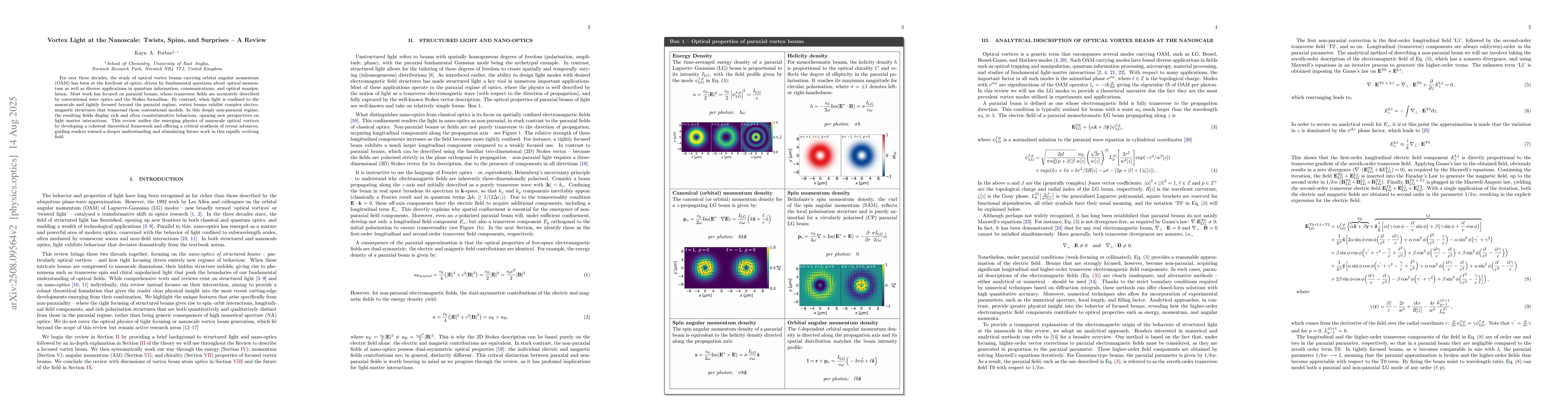 Thumbnail for Vortex Light at the Nanoscale: Twists, Spins, and Surprises -- A Review