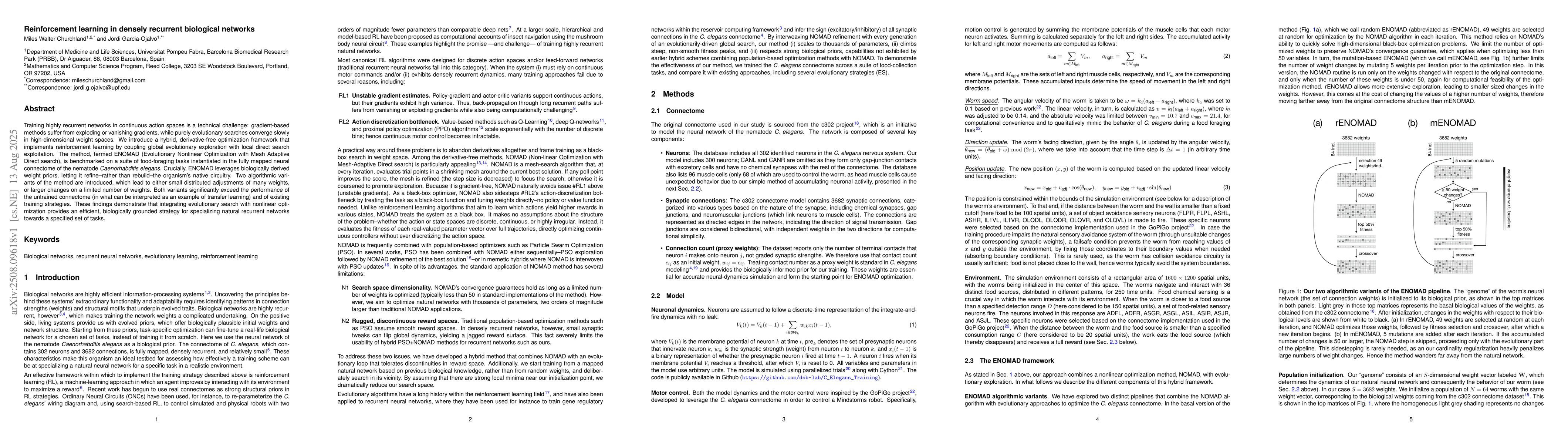 Thumbnail for Reinforcement learning in densely recurrent biological networks