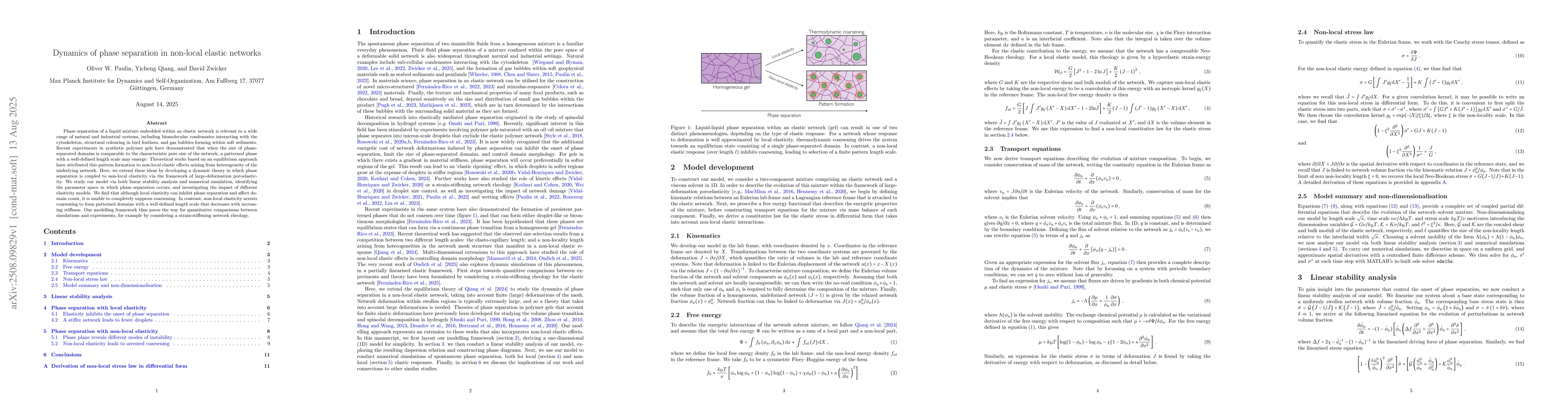 Thumbnail for Dynamics of phase separation in non-local elastic networks