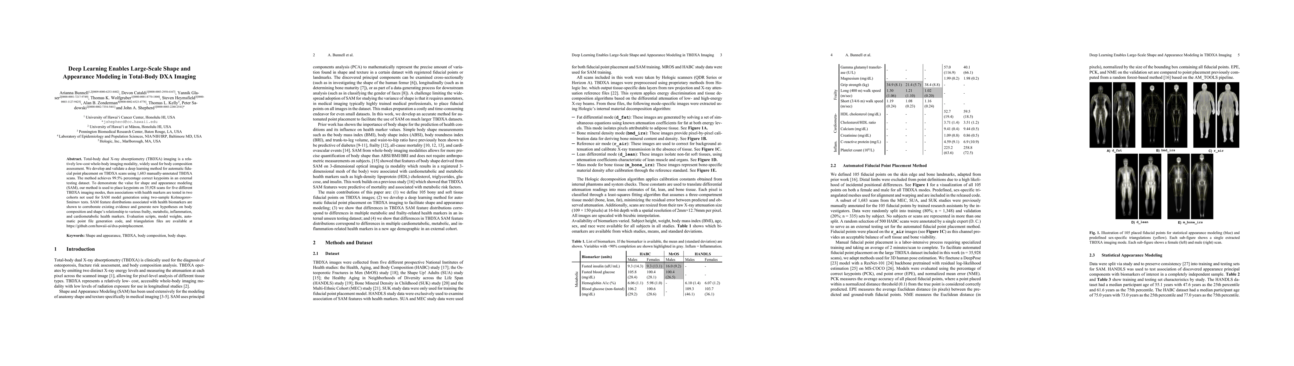 Thumbnail for Deep Learning Enables Large-Scale Shape and Appearance Modeling in
  Total-Body DXA Imaging