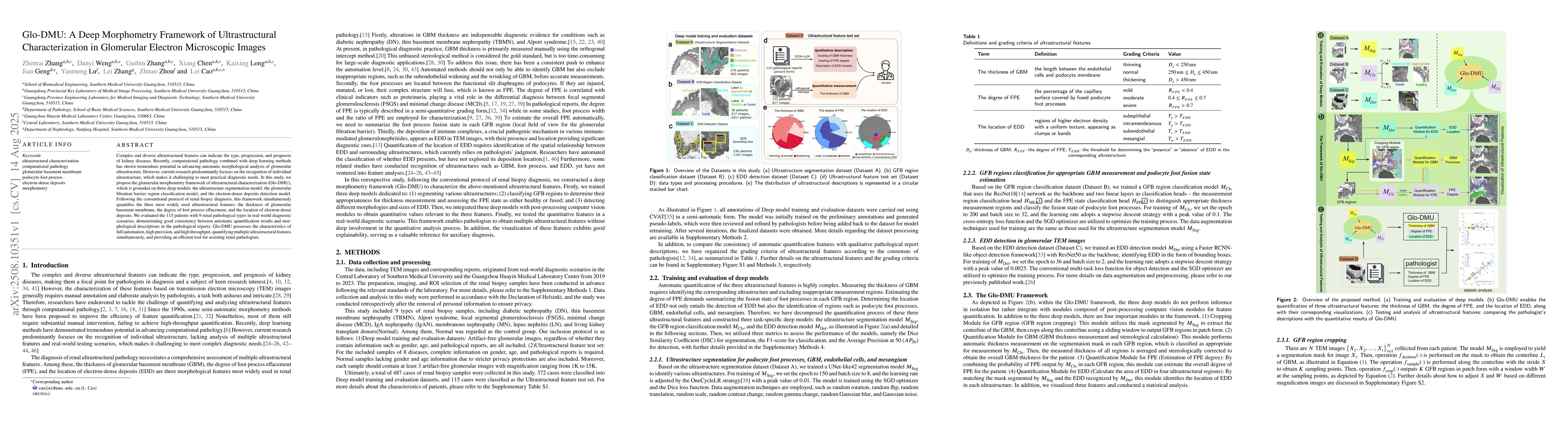Thumbnail for Glo-DMU: A Deep Morphometry Framework of Ultrastructural
  Characterization in Glomerular Electron Microscopic Images