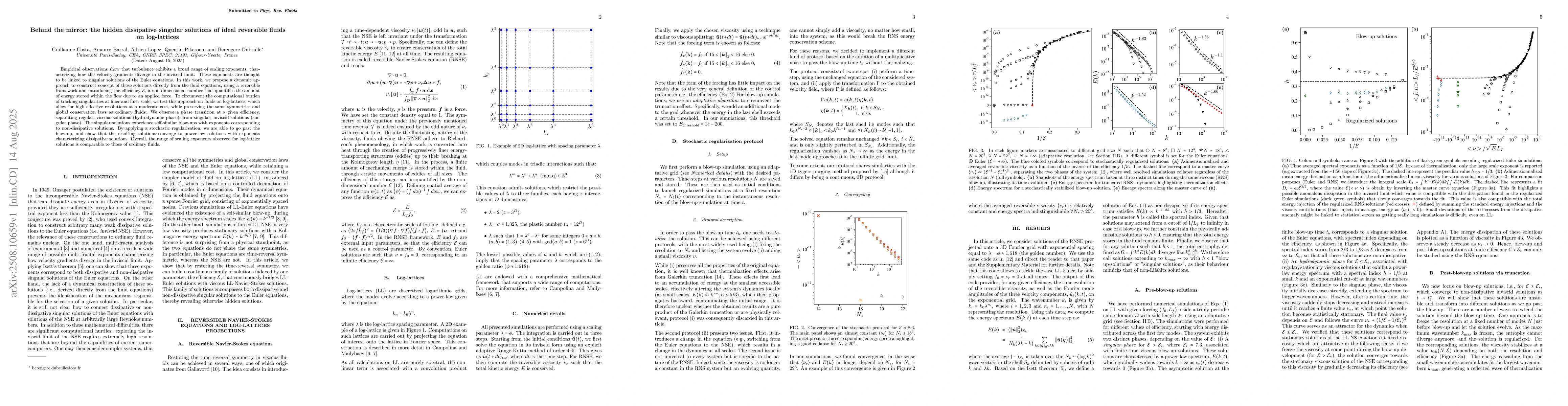 Thumbnail for Behind the mirror: the hidden dissipative singular solutions of ideal
  reversible fluids on log-lattices