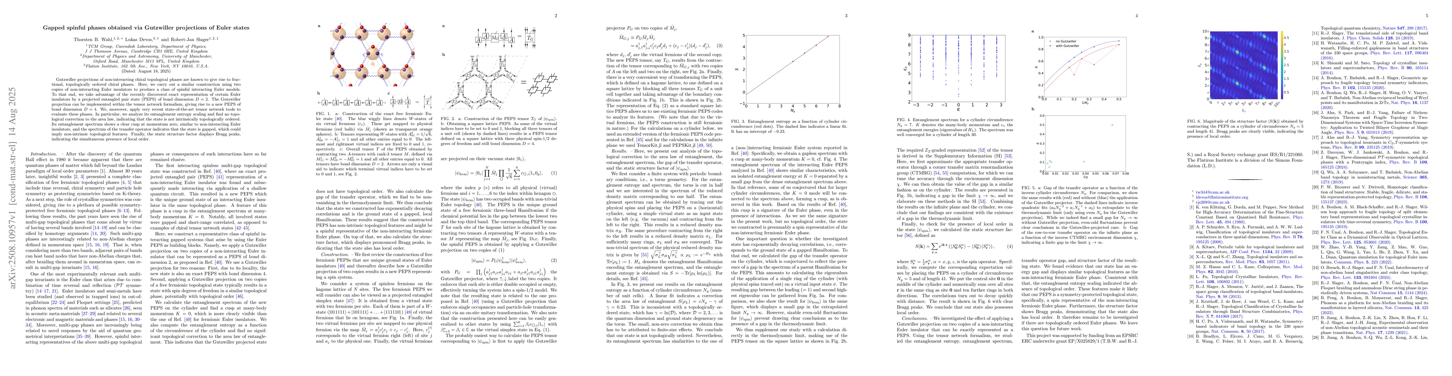 Thumbnail for Gapped spinful phases obtained via Gutzwiller projections of Euler
  states