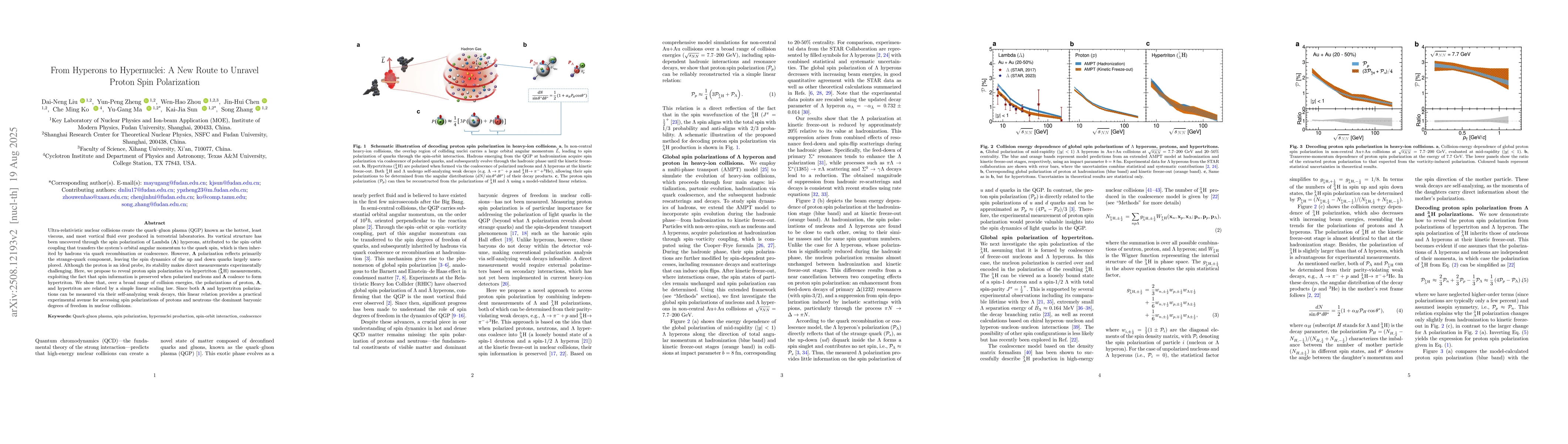 Thumbnail for From Hyperons to Hypernuclei: A New Route to Unravel Proton Spin
  Polarization