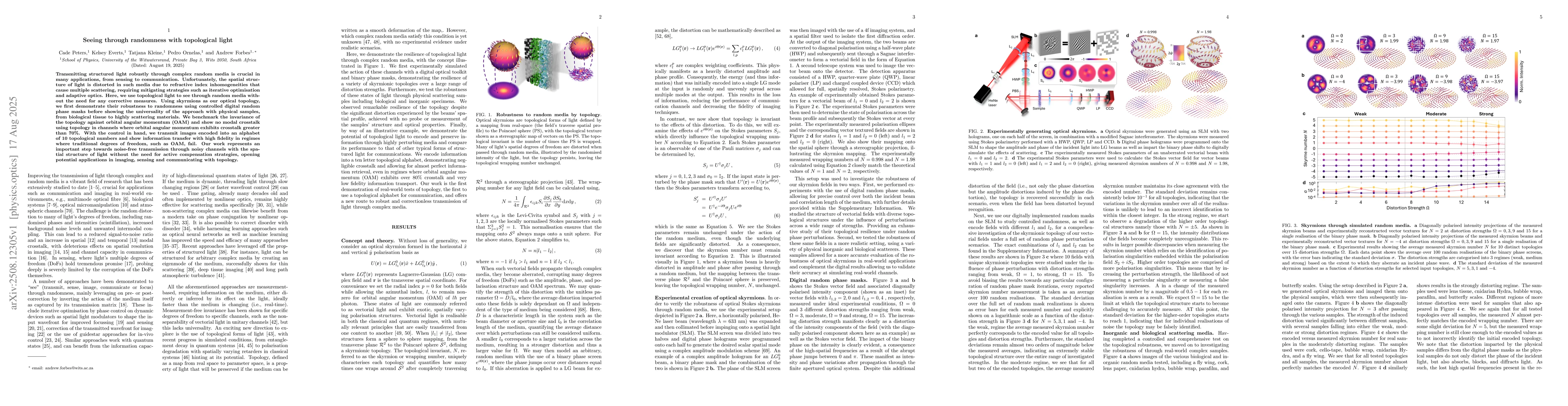 Thumbnail for Seeing through randomness with topological light