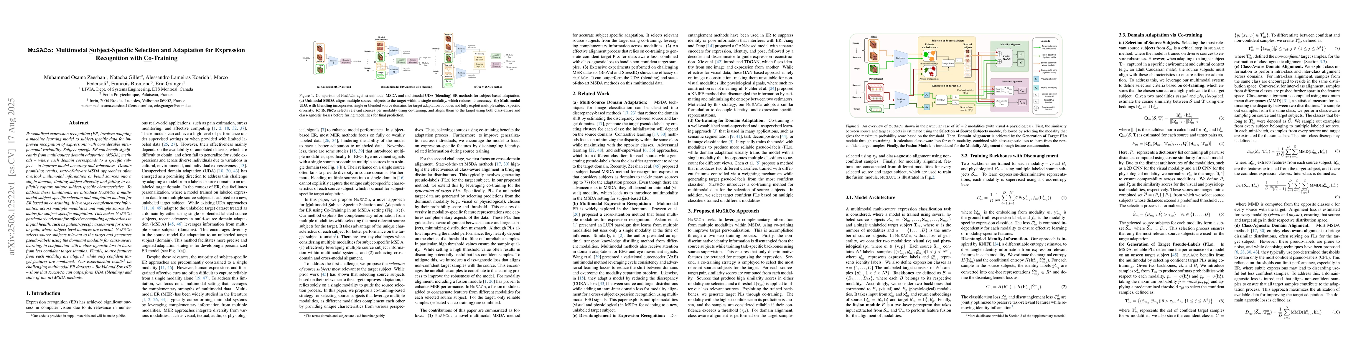 Thumbnail for MuSACo: Multimodal Subject-Specific Selection and Adaptation for
  Expression Recognition with Co-Training