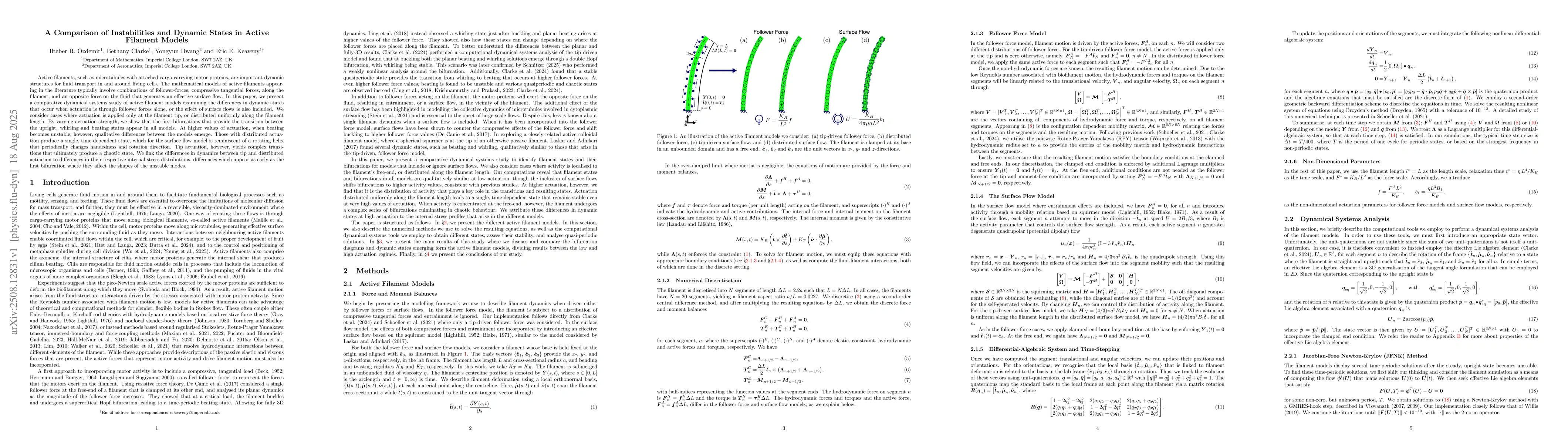 Thumbnail for A Comparison of Instabilities and Dynamic States in Active Filament
  Models