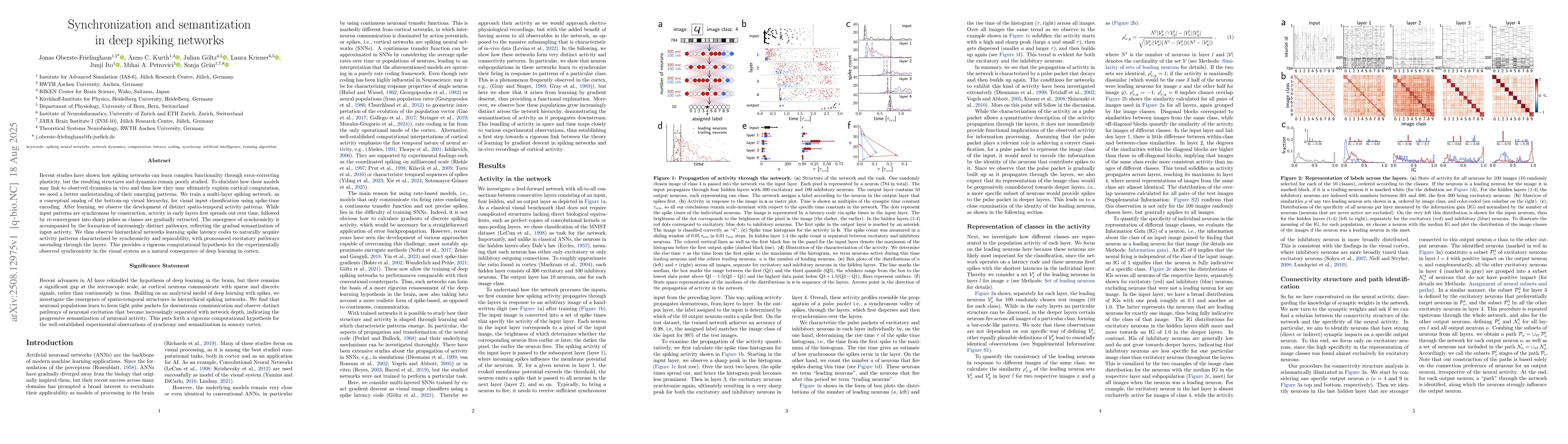 Thumbnail for Synchronization and semantization in deep spiking networks