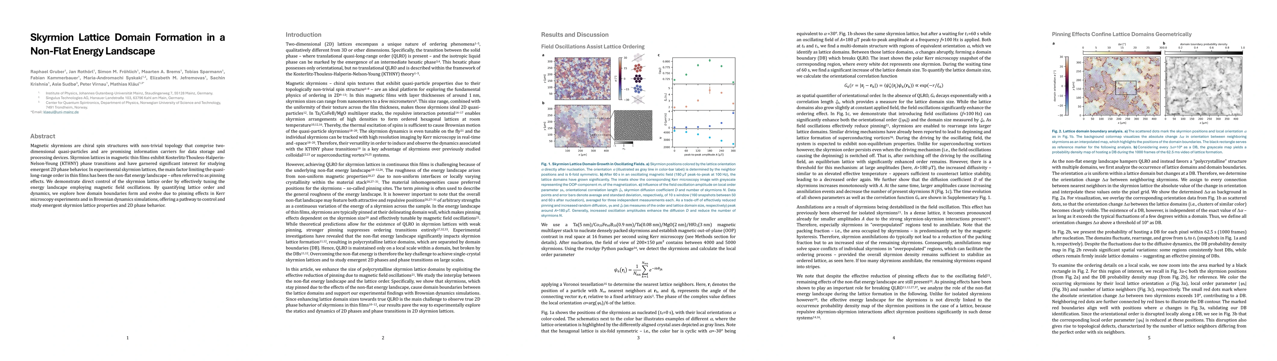 Thumbnail for Skyrmion Lattice Domain Formation in a Non-Flat Energy Landscape