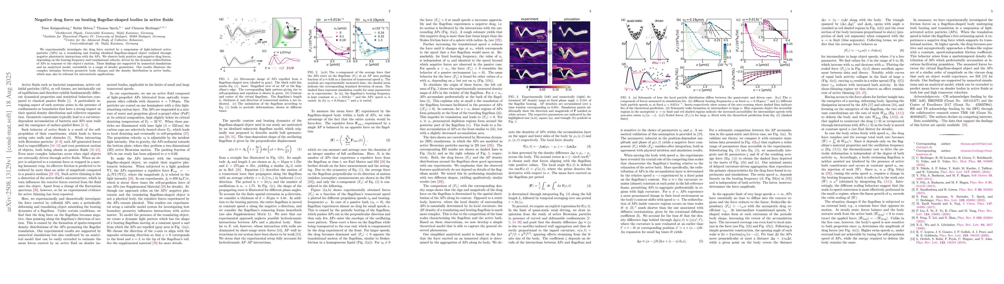 Thumbnail for Negative drag force on beating flagellar-shaped bodies in active fluids