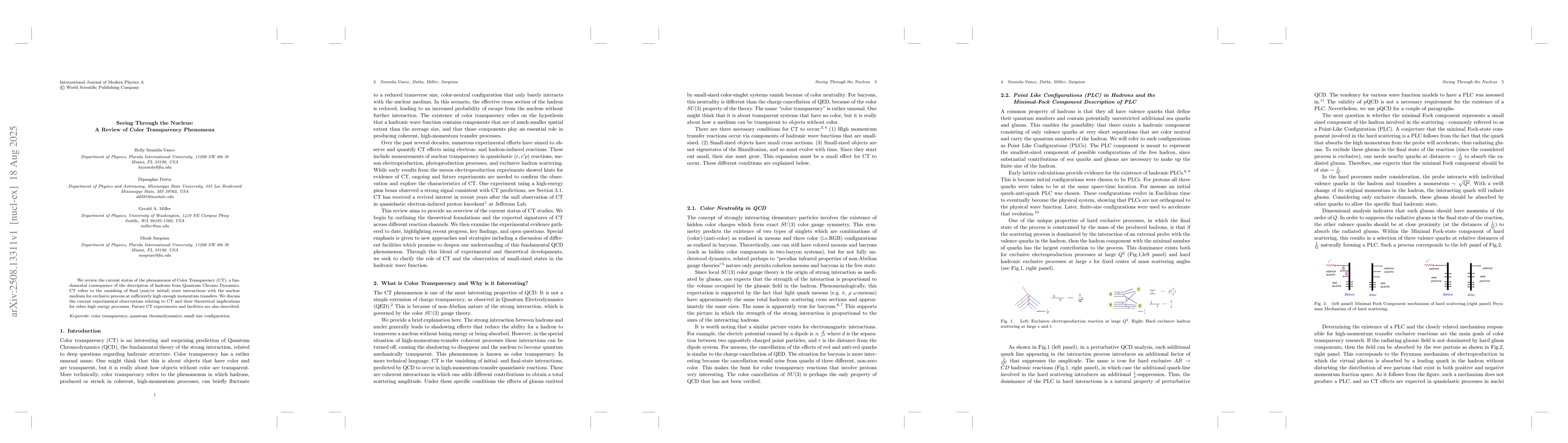 Thumbnail for Seeing Through the Nucleus: A Review of Color Transparency Phenomena