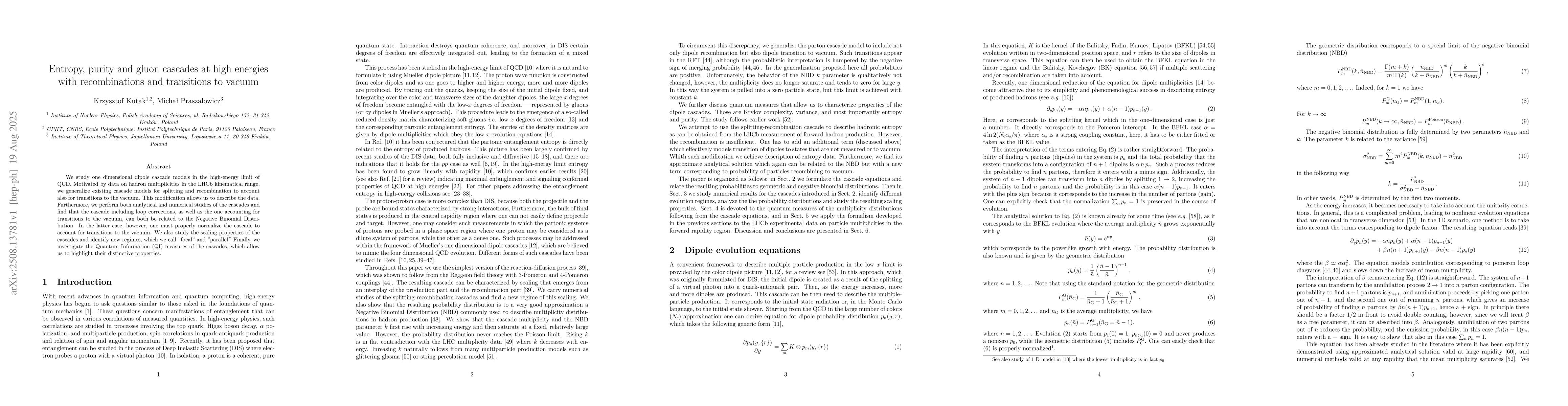 Thumbnail for Entropy, purity and gluon cascades at high energies with recombinations
  and transitions to vacuum