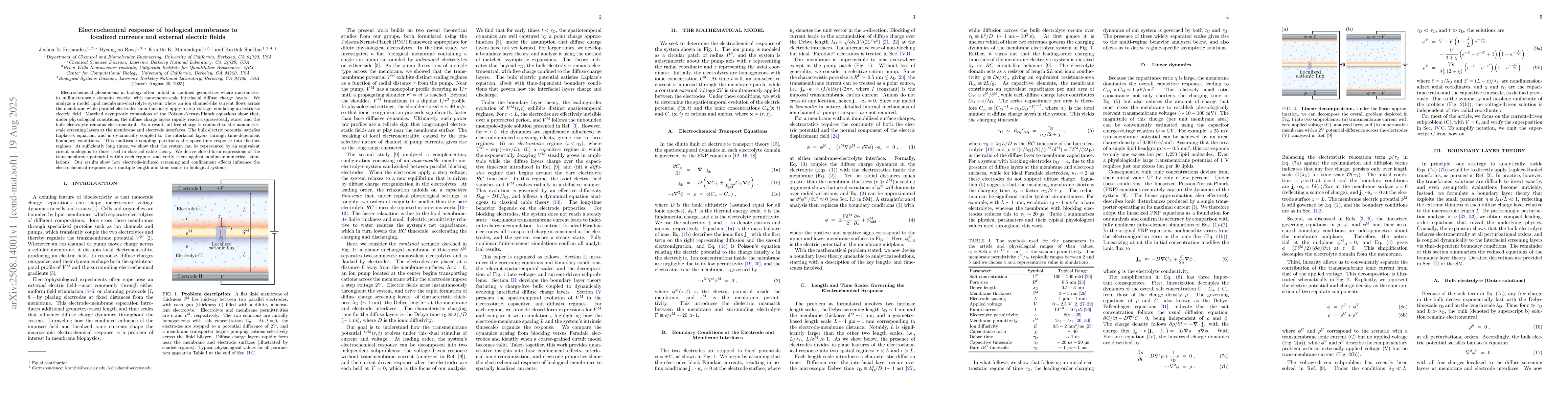 Thumbnail for Electrochemical response of biological membranes to localized currents
  and external electric fields