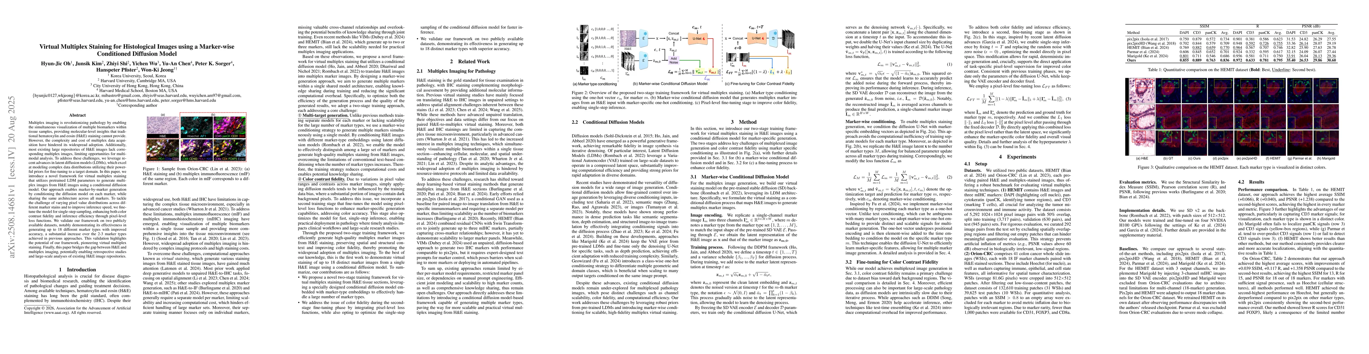 Thumbnail for Virtual Multiplex Staining for Histological Images using a Marker-wise
  Conditioned Diffusion Model