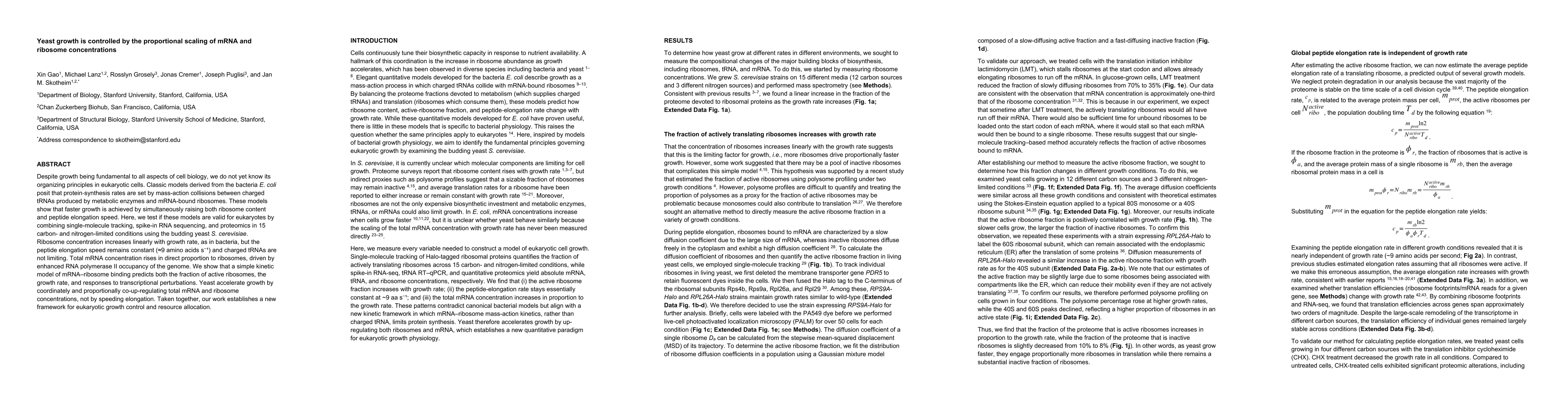 Thumbnail for Yeast growth is controlled by the proportional scaling of mRNA and
  ribosome concentrations