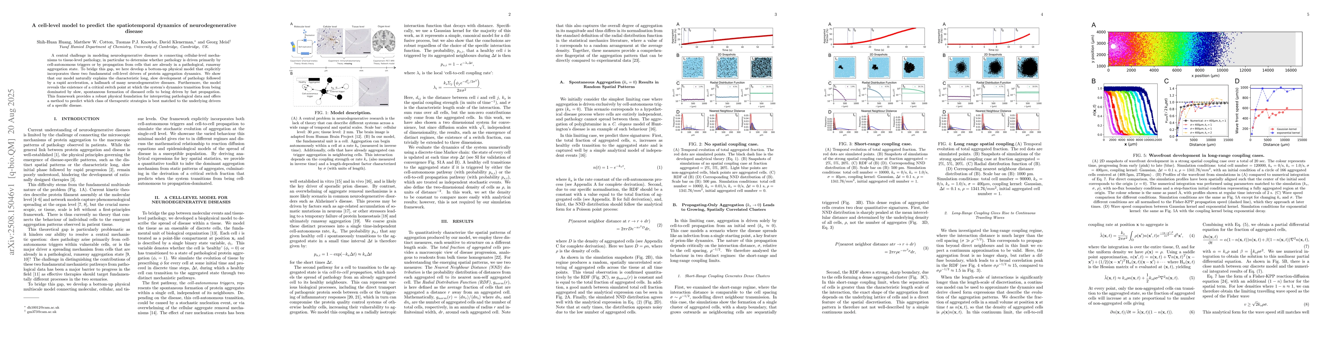 Thumbnail for A cell-level model to predict the spatiotemporal dynamics of
  neurodegenerative disease