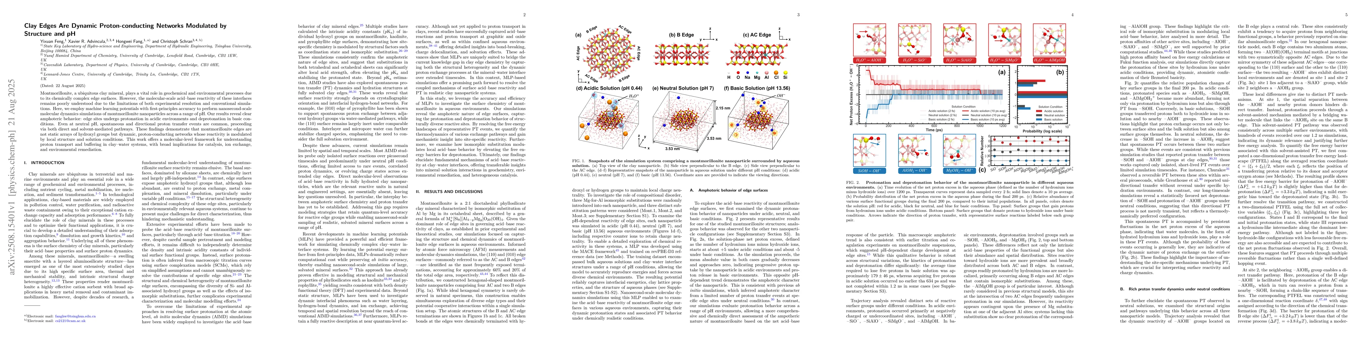 Thumbnail for Clay Edges Are Dynamic Proton-conducting Networks Modulated by Structure
  and pH