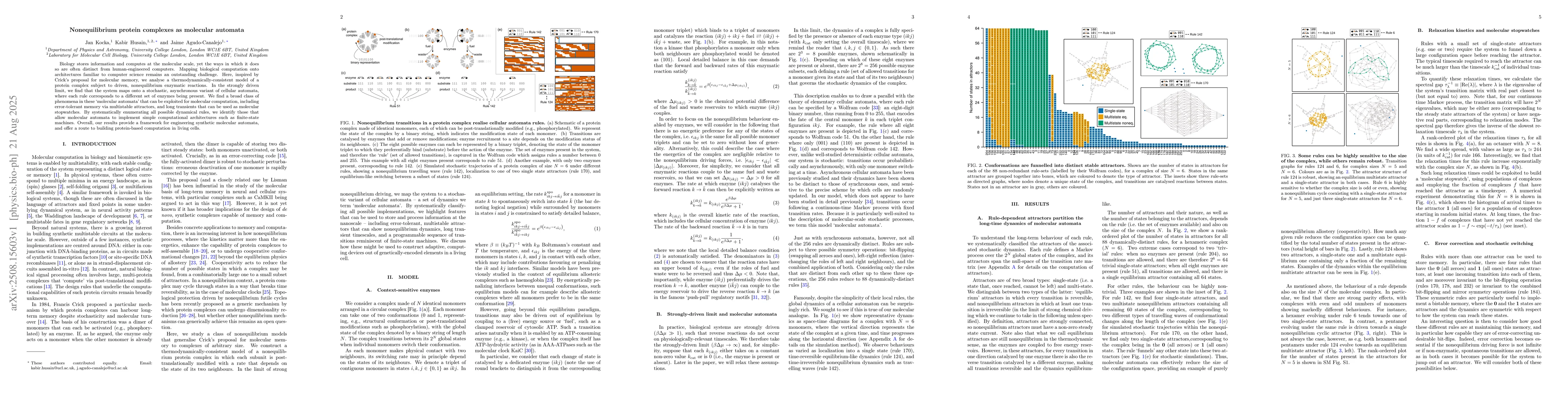 Thumbnail for Nonequilibrium protein complexes as molecular automata