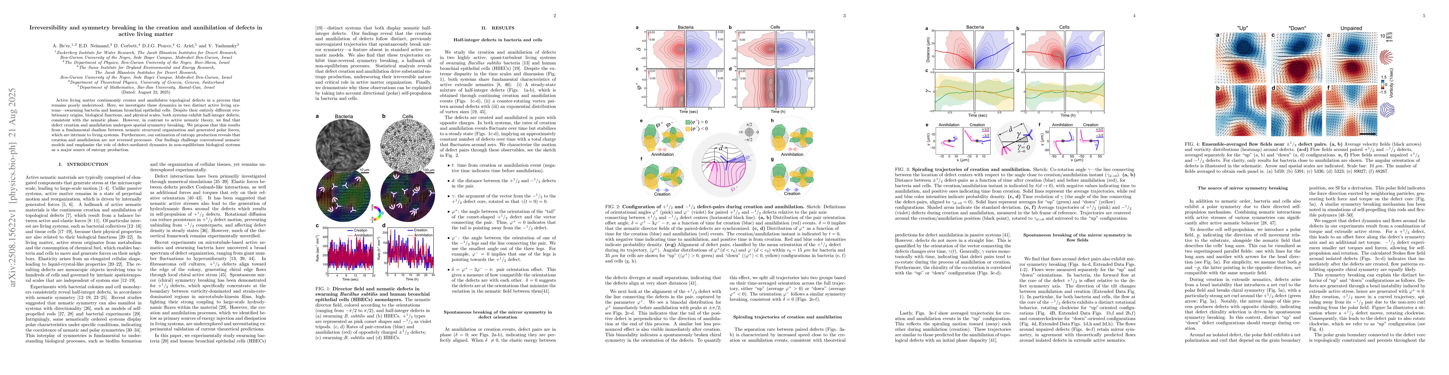 Thumbnail for Irreversibility and symmetry breaking in the creation and annihilation
  of defects in active living matter