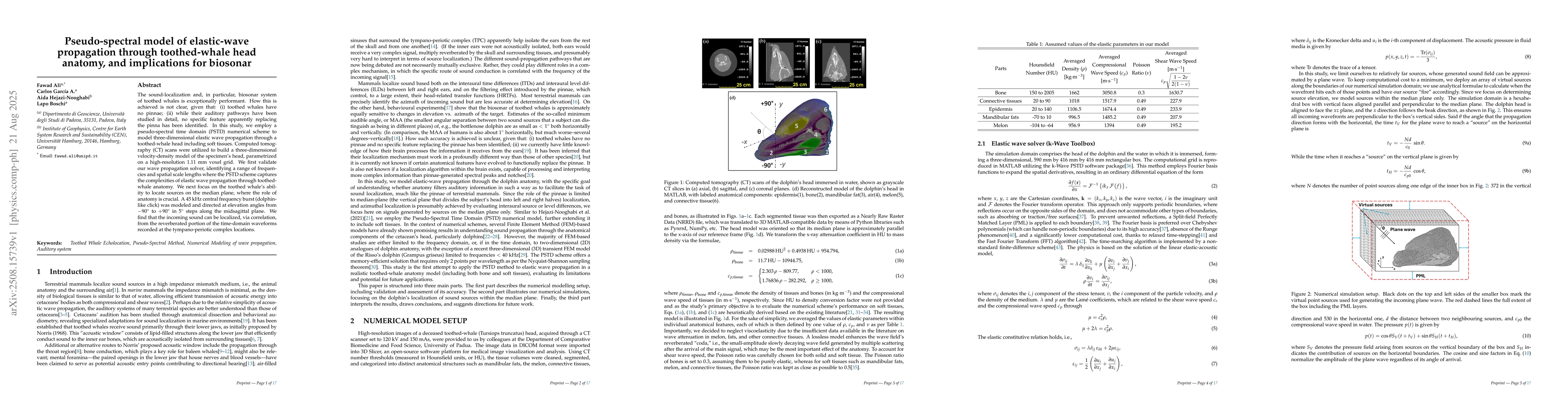 Thumbnail for Pseudo-spectral model of elastic-wave propagation through toothed-whale
  head anatomy, and implications for biosonar
