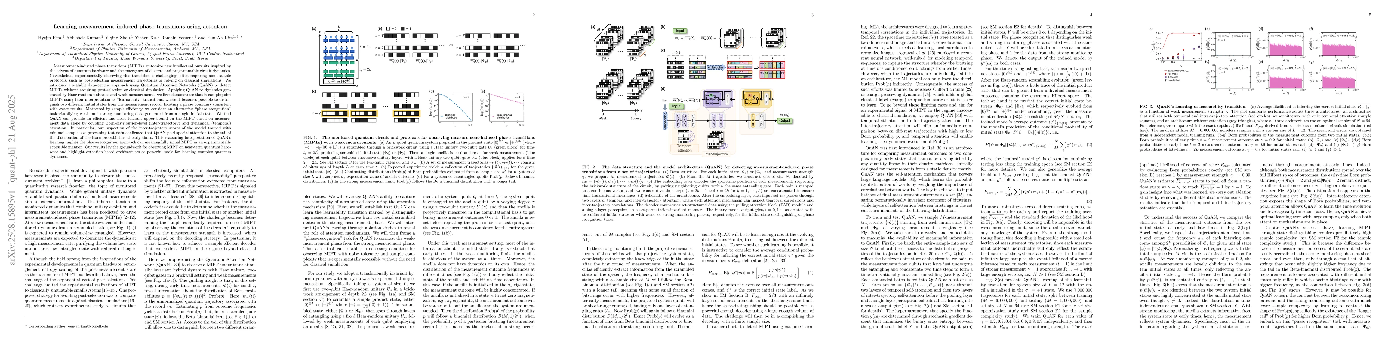 Thumbnail for Learning measurement-induced phase transitions using attention