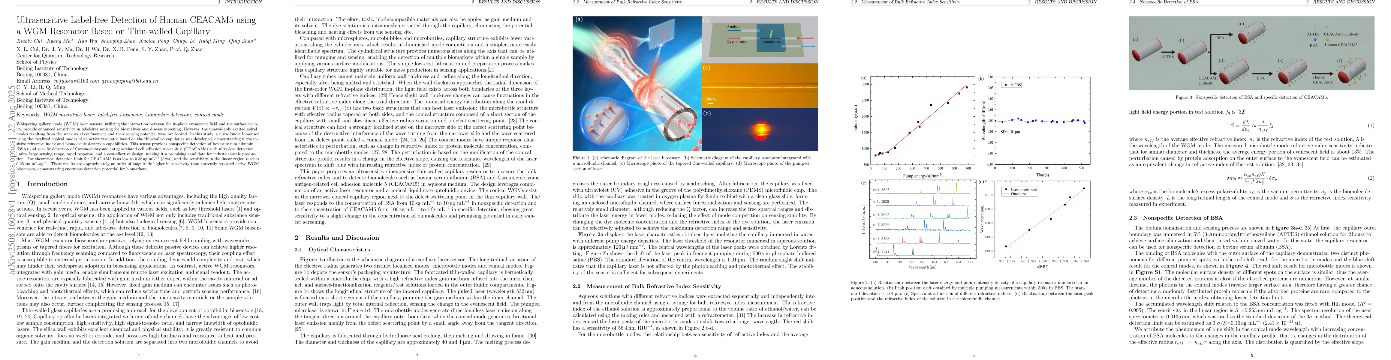 Thumbnail for Ultrasensitive Label-free Detection of Human CEACAM5 using a WGM
  Resonator Based on Thin-walled Capillary