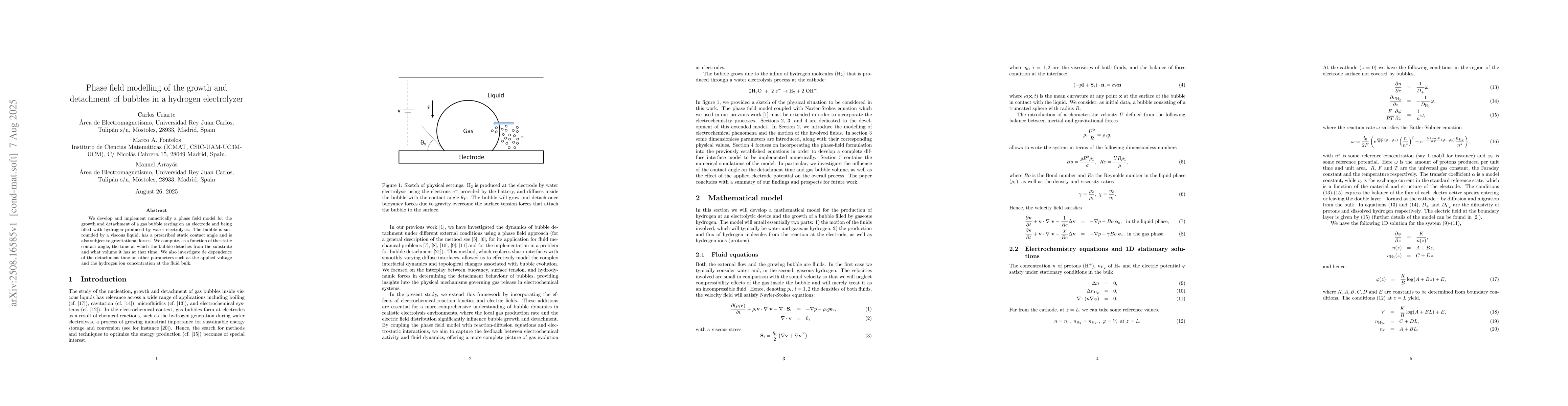 Thumbnail for Phase field modelling of the growth and detachment of bubbles in a
  hydrogen electrolyzer