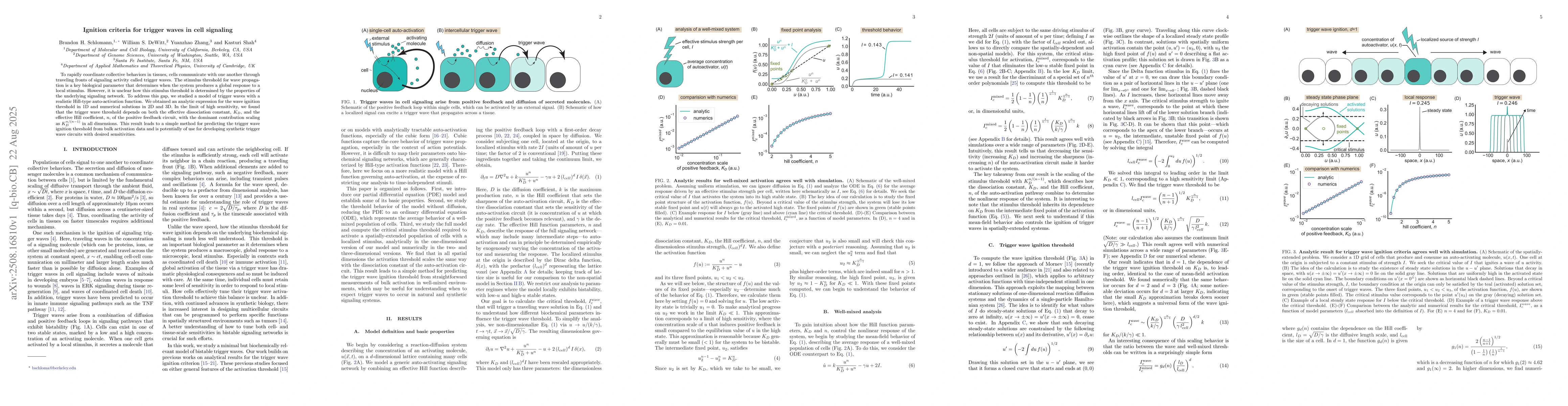 Thumbnail for Ignition criteria for trigger waves in cell signaling