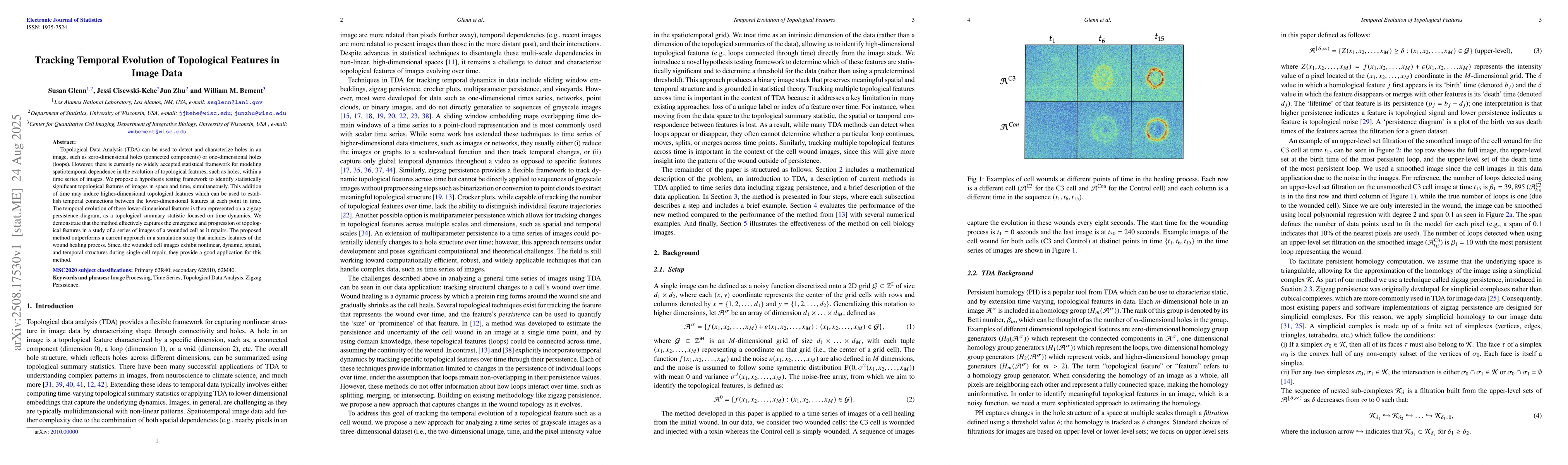 Thumbnail for Tracking Temporal Evolution of Topological Features in Image Data