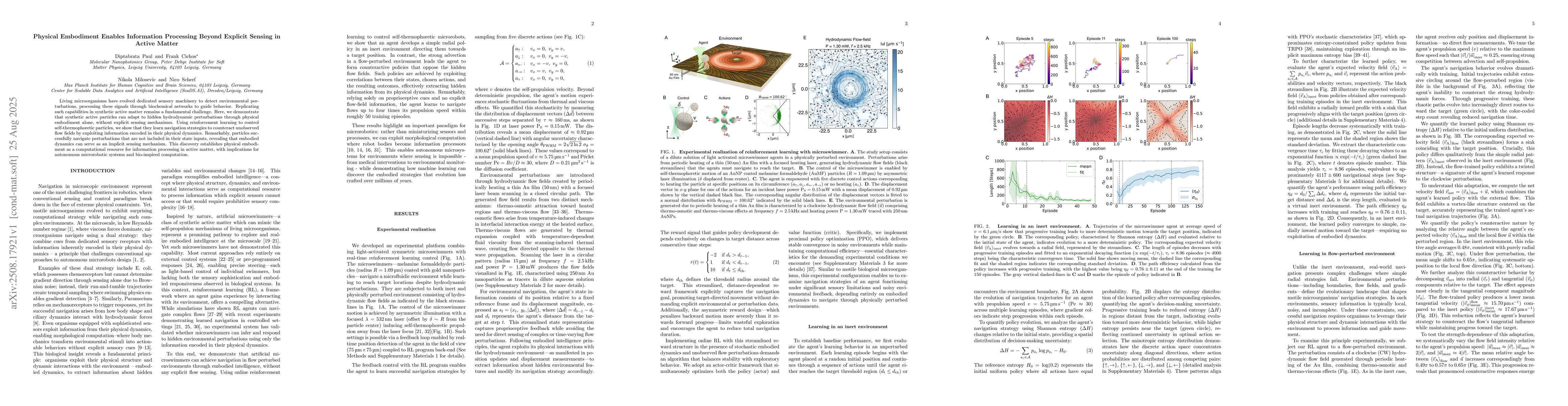 Thumbnail for Physical Embodiment Enables Information Processing Beyond Explicit
  Sensing in Active Matter
