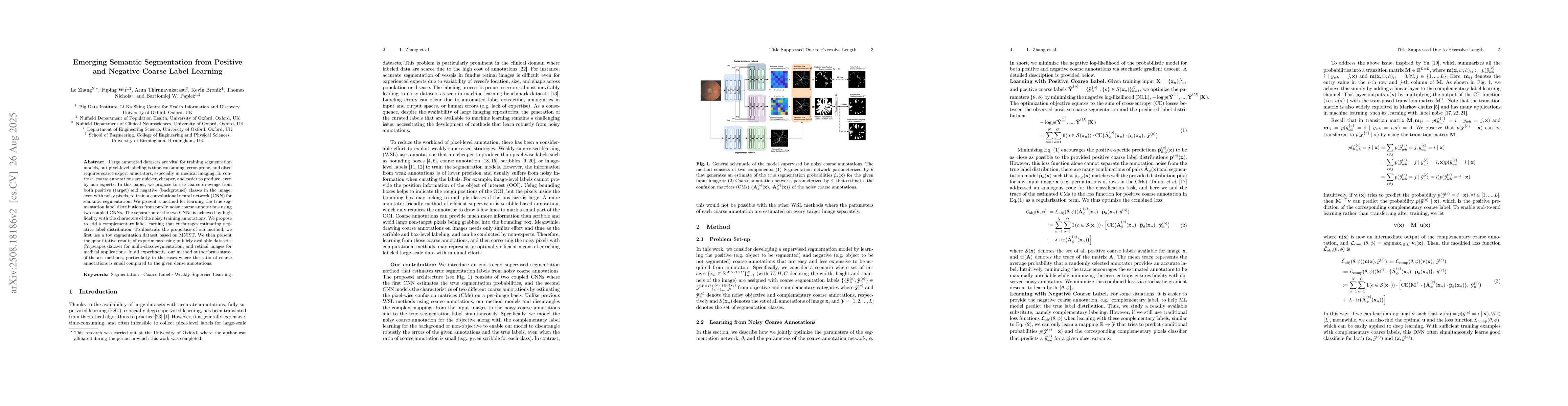 Thumbnail for Emerging Semantic Segmentation from Positive and Negative Coarse Label
  Learning