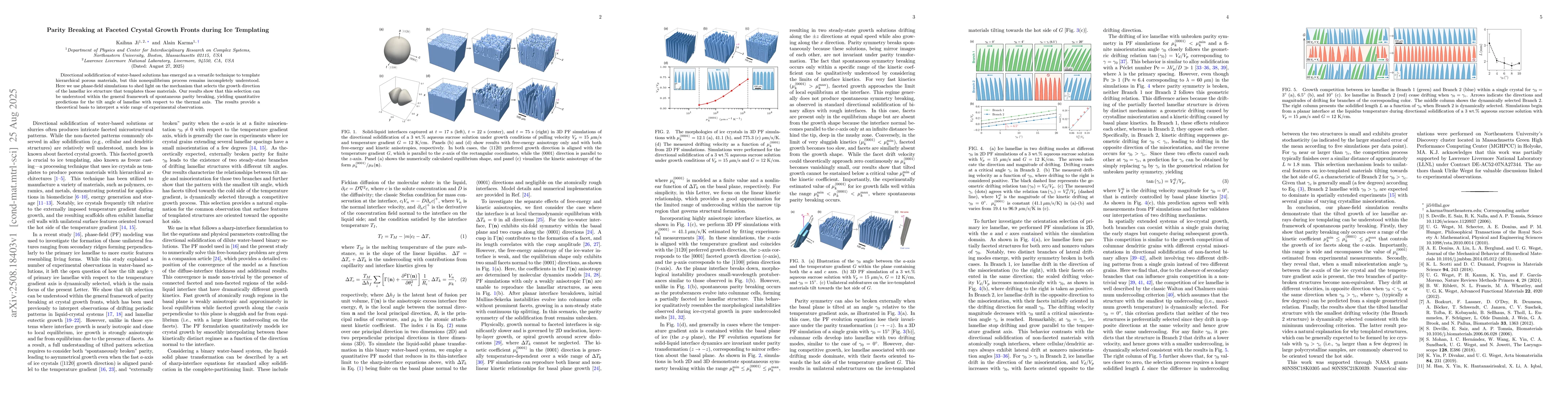 Thumbnail for Parity Breaking at Faceted Crystal Growth Fronts during Ice Templating