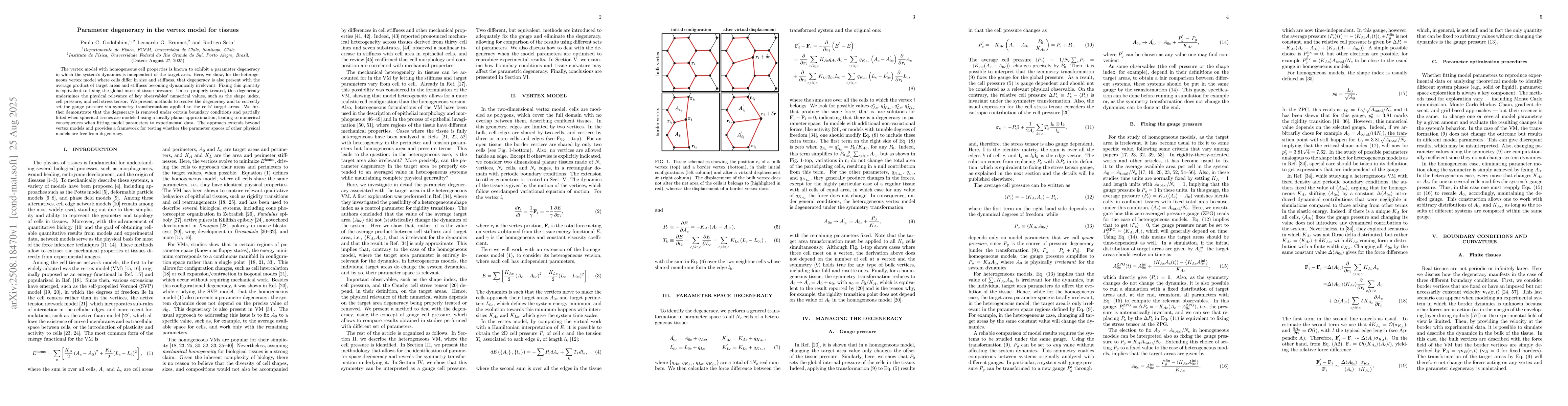 Thumbnail for Parameter degeneracy in the vertex model for tissues