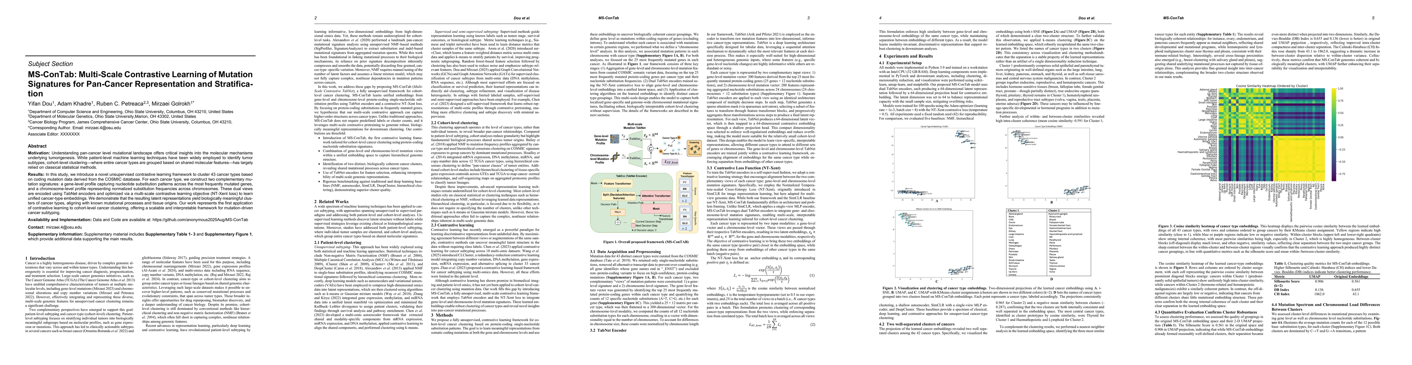 Thumbnail for MS-ConTab: Multi-Scale Contrastive Learning of Mutation Signatures for
  Pan Cancer Representation and Stratification