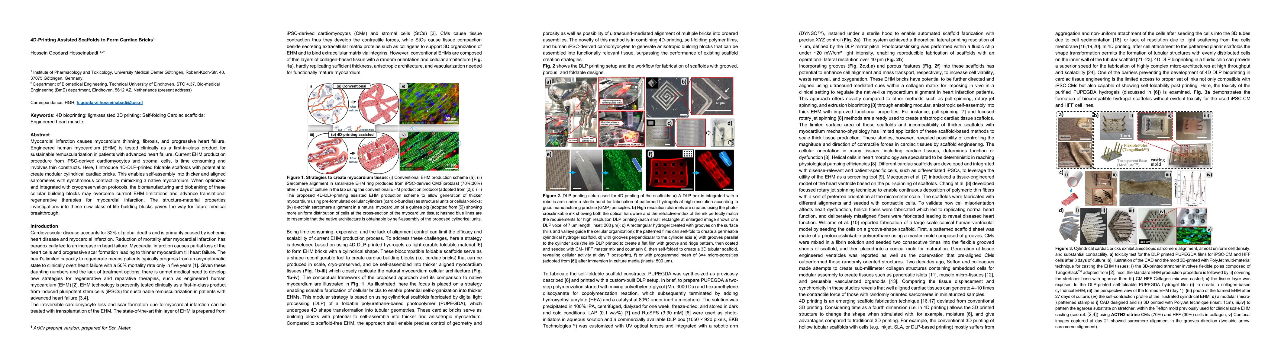 Thumbnail for 4D-Printing Assisted Scaffolds to Form Cardiac Bricks