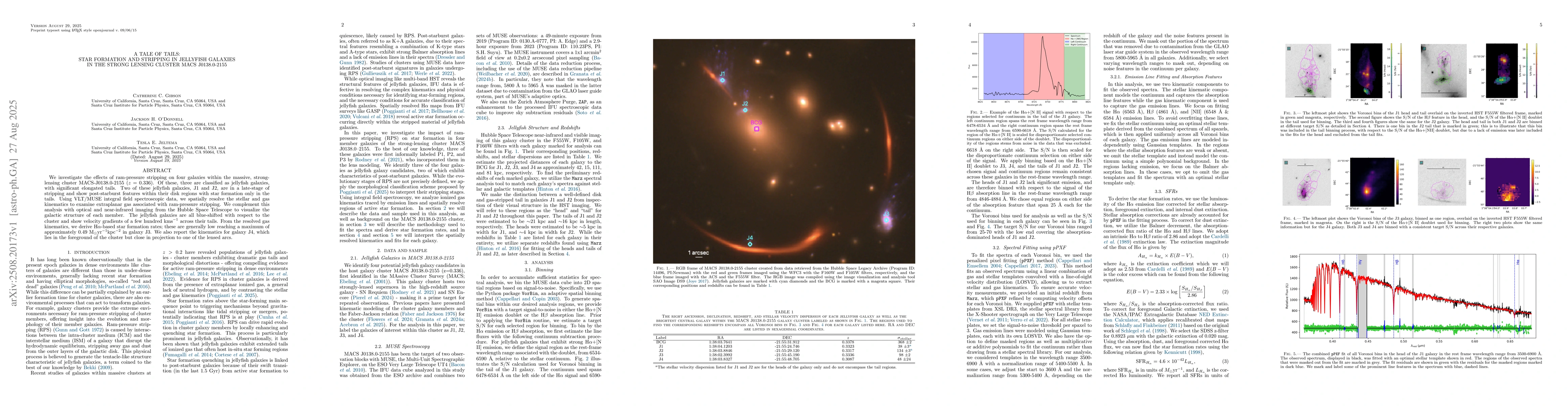 Thumbnail for A Tale of Tails: Star Formation and Stripping in Jellyfish Galaxies in
  the Strong Lensing Cluster MACS J0138.0-2155