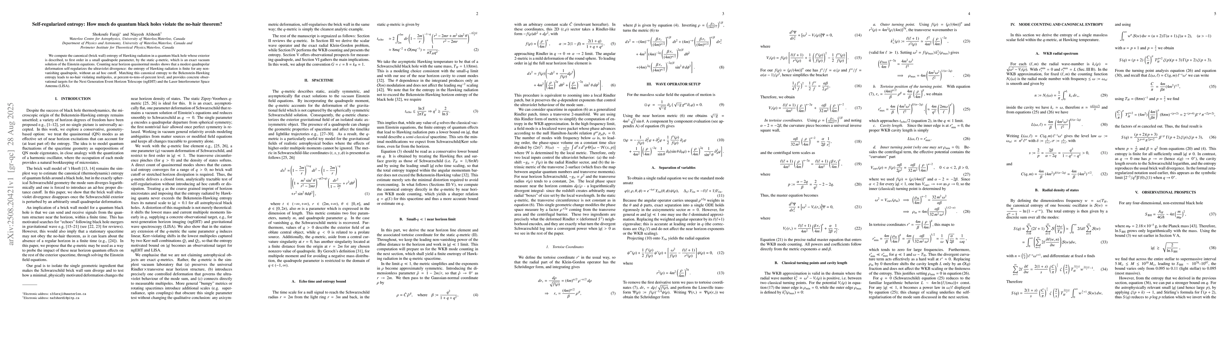 Thumbnail for Self-regularized entropy: How much do quantum black holes violate the
  no-hair theorem?