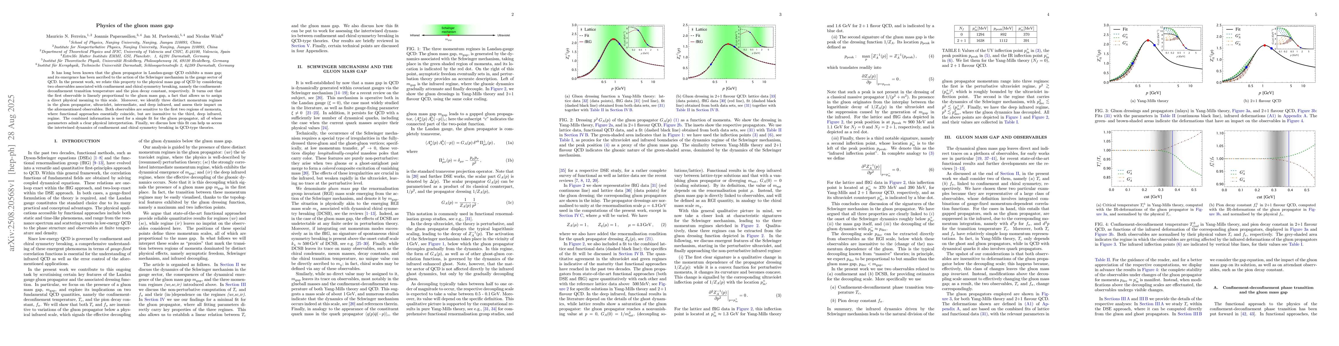 Thumbnail for Physics of the gluon mass gap