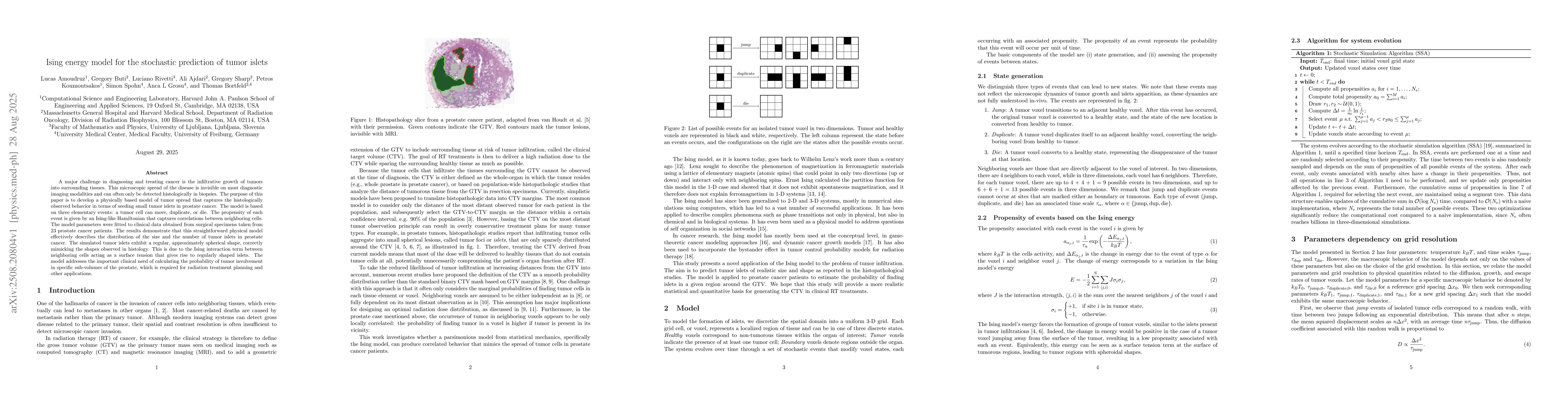 Thumbnail for Ising energy model for the stochastic prediction of tumor islets