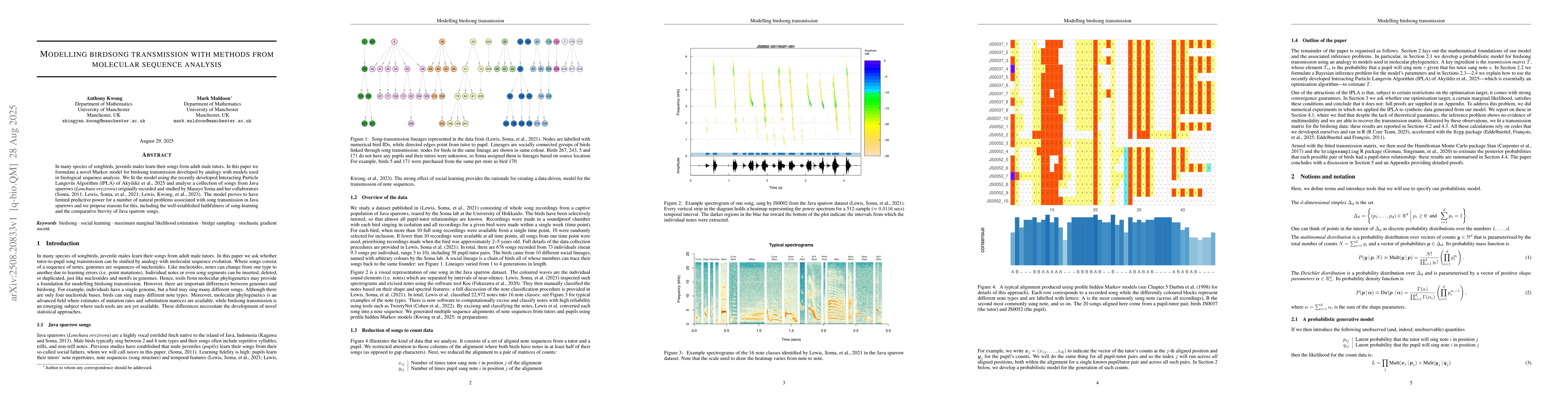 Thumbnail for Modelling birdsong transmission with methods from molecular sequence
  analysis
