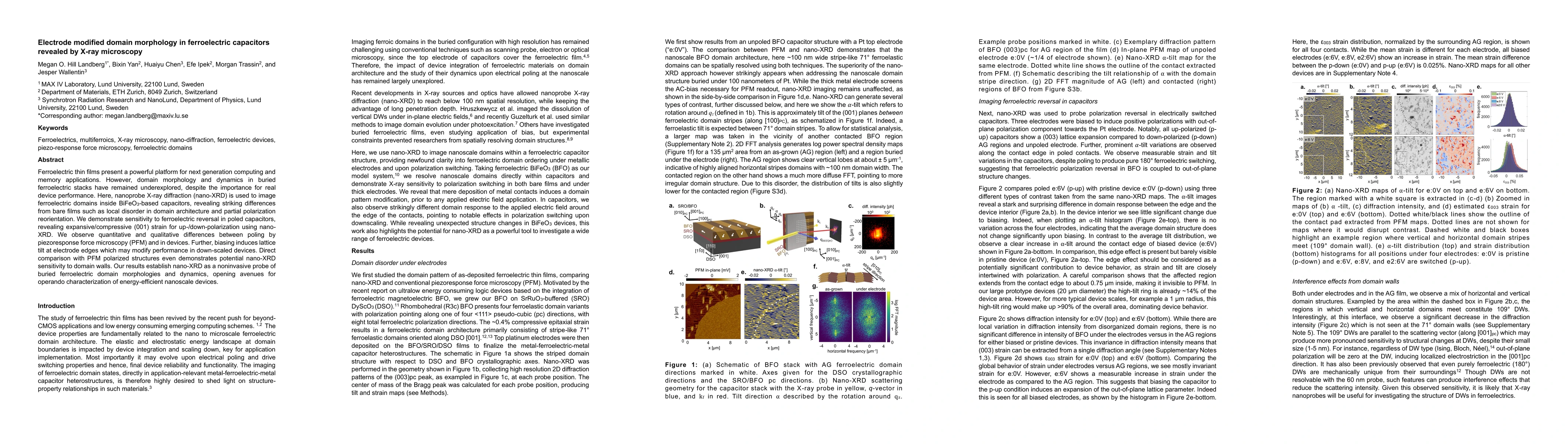 Thumbnail for Electrode modified domain morphology in ferroelectric capacitors
  revealed by X-ray microscopy