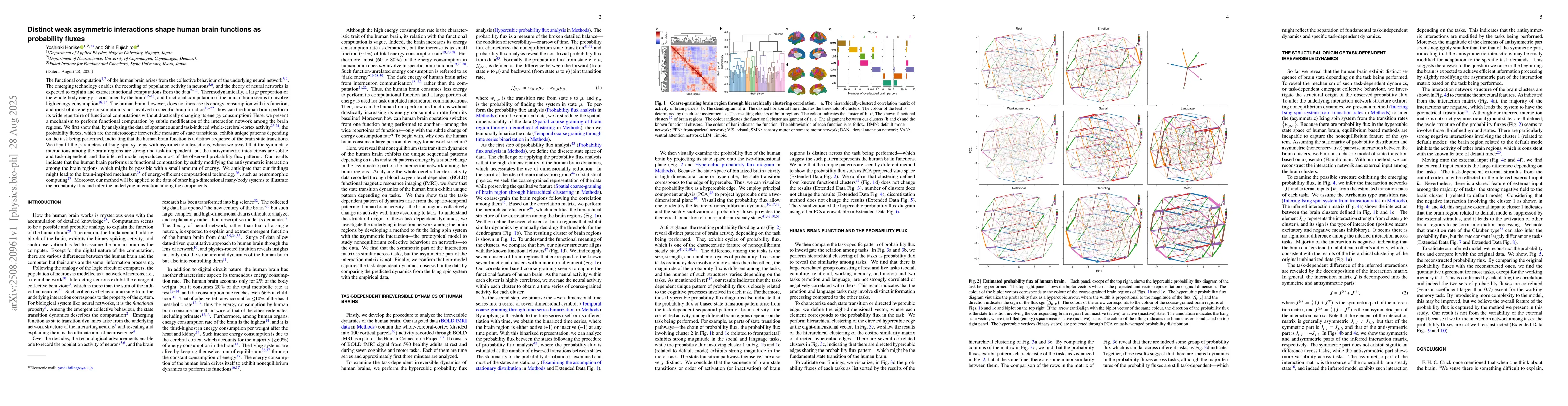 Thumbnail for Distinct weak asymmetric interactions shape human brain functions as
  probability fluxes