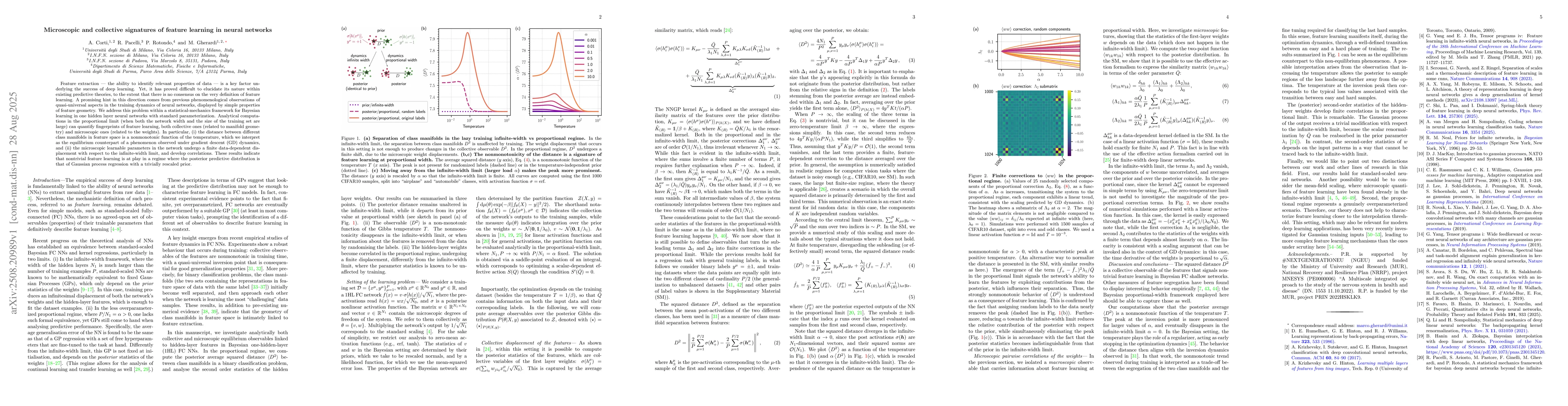 Thumbnail for Microscopic and collective signatures of feature learning in neural
  networks