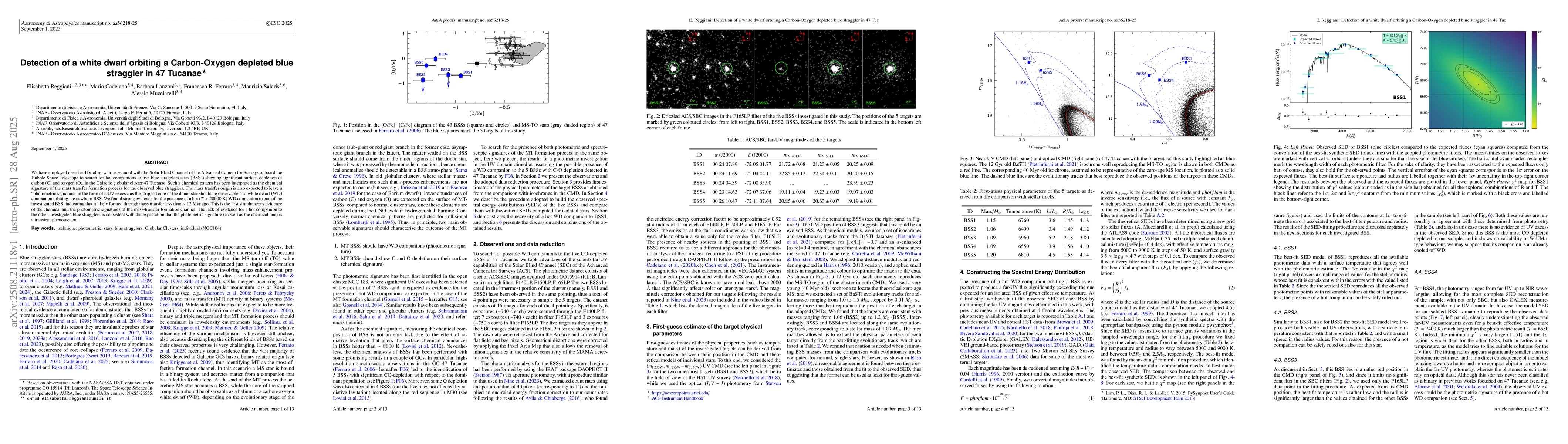 Thumbnail for Detection of a white dwarf orbiting a Carbon-Oxygen depleted blue
  straggler in 47 Tucanae