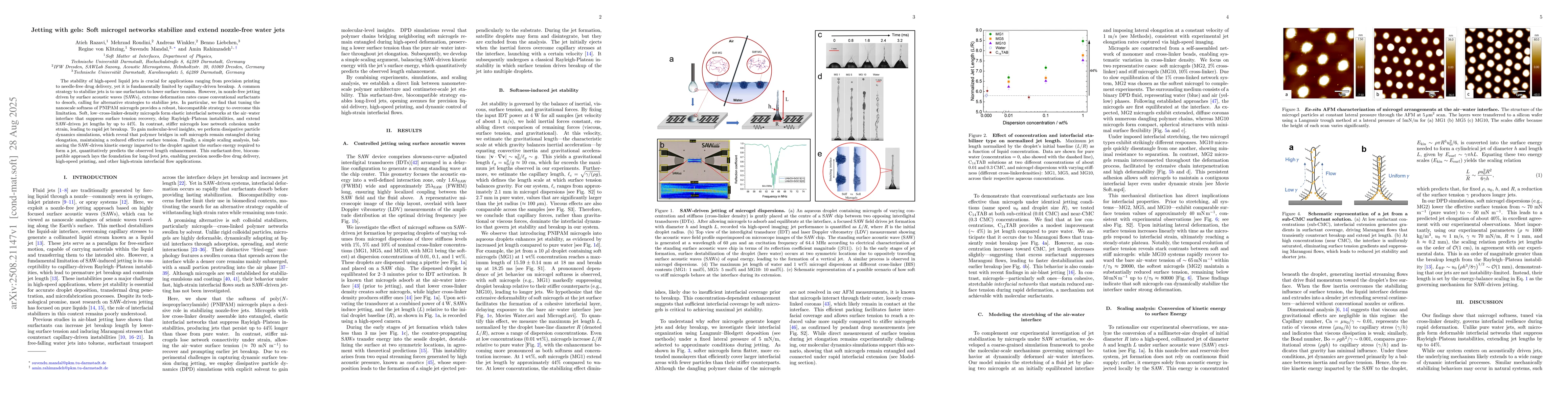 Thumbnail for Jetting with gels: Soft microgel networks stabilize and extend
  nozzle-free water jets